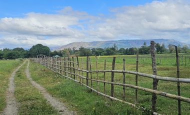 500 SQM RESIDENTIAL LOT (SOLO TITLE)