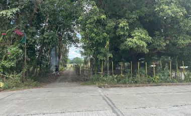 500 SQM RESIDENTIAL LOT (SOLO TITLE)