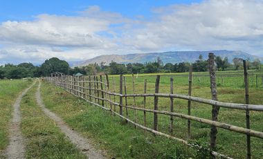 500 SQM RESIDENTIAL LOT (SOLO TITLE)