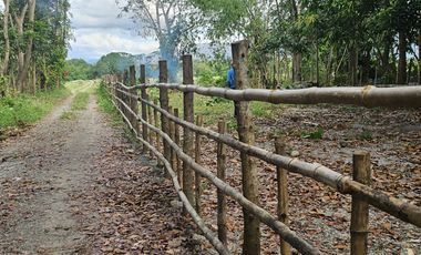 500 SQM RESIDENTIAL LOT (SOLO TITLE)