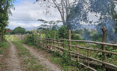 500 SQM RESIDENTIAL LOT (SOLO TITLE)