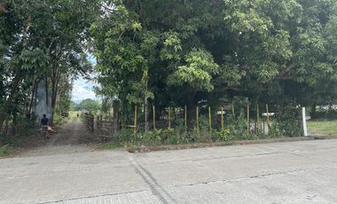 500 SQM RESIDENTIAL LOT (SOLO TITLE)