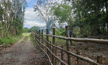 500 SQM RESIDENTIAL LOT (SOLO TITLE)