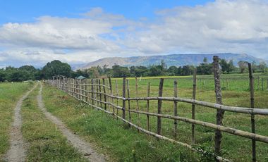 500 SQM RESIDENTIAL LOT (SOLO TITLE)