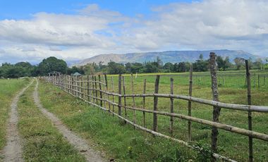 500 SQM RESIDENTIAL LOT (SOLO TITLE)