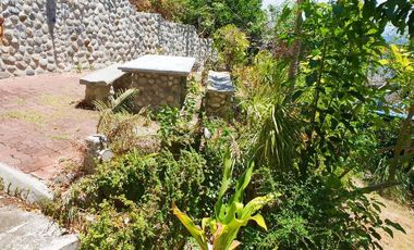 Residential Lot for Sale in Puerto Galera, Oriental Mindoro RHI-17622