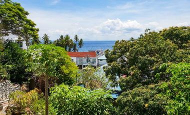 Residential Lot for Sale in Puerto Galera, Oriental Mindoro RHI-17622