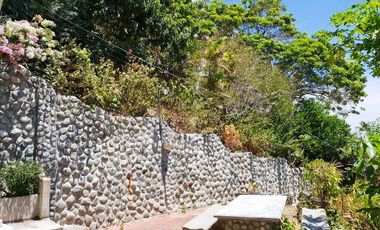 Residential Lot for Sale in Puerto Galera, Oriental Mindoro RHI-17622
