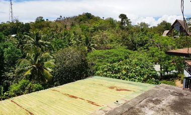 Residential Lot for Sale in Puerto Galera, Oriental Mindoro RHI-17622