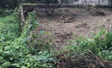 Lot for Sale in Valencia Negros Oriental