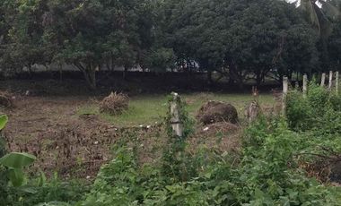 Lot for Sale in Valencia Negros Oriental