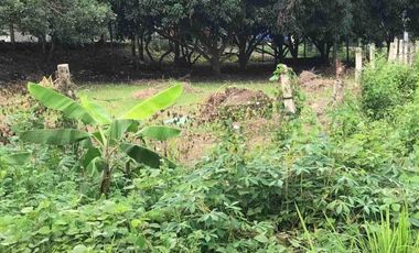 Lot for Sale in Valencia Negros Oriental