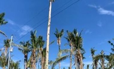 5,995 sqm Lot for Sale in Surigao Del Norte in Catangnan, General Luna