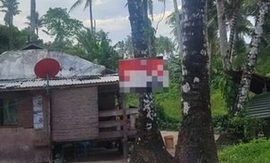 5,995 sqm Lot for Sale in Surigao Del Norte in Catangnan, General Luna