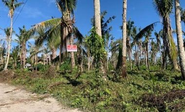 5,995 sqm Lot for Sale in Surigao Del Norte in Catangnan, General Luna