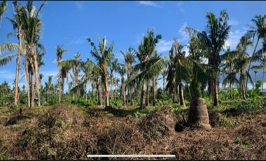 5,995 sqm Lot for Sale in Surigao Del Norte in Catangnan, General Luna