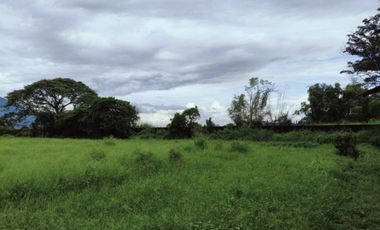 IN HOUSE FINANCING‼️ Residential Lot 247 & 255sqm in Buensuceso Arayat, Pampanga