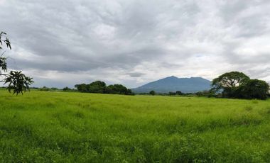 IN HOUSE FINANCING‼️ Residential Lot 247 & 255sqm in Buensuceso Arayat, Pampanga