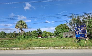 Commercial Land for rent in Quezon, Catanauan