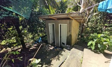 12,600 sqm clean title for sale with 100 mango & 120 coconut trees Carmen Cebu