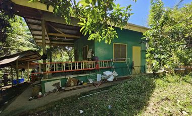 12,600 sqm clean title for sale with 100 mango & 120 coconut trees Carmen Cebu