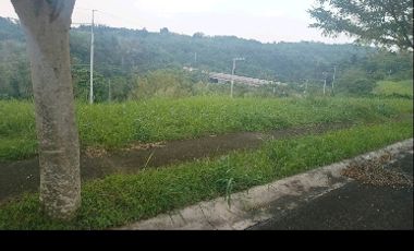 Residential Plot for sale in Cavite, Silang
