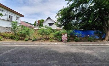 359 sqm Lot for Sale in Marcello Green Heights Village, Parañaque City