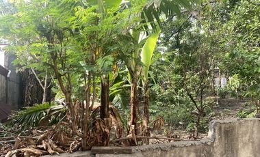 580 sqm Lot for Rent in Subic Ilaya, Agoncillo, Batangas