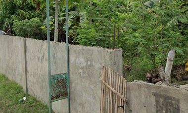 580 sqm Lot for Rent in Subic Ilaya, Agoncillo, Batangas