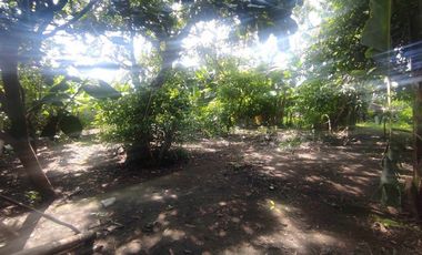 580 sqm Lot for Rent in Subic Ilaya, Agoncillo, Batangas