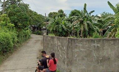 580 sqm Lot for Rent in Subic Ilaya, Agoncillo, Batangas