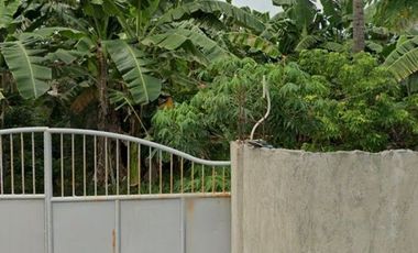 580 sqm Lot for Rent in Subic Ilaya, Agoncillo, Batangas