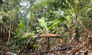 580 sqm Lot for Rent in Subic Ilaya, Agoncillo, Batangas