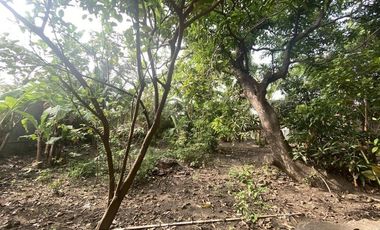580 sqm Lot for Rent in Subic Ilaya, Agoncillo, Batangas