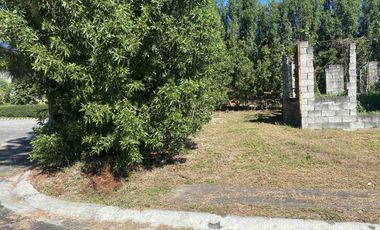 Luxurious Corner Lot for Sale in Almanza Dos, Las Piñas - Portofino At Amore