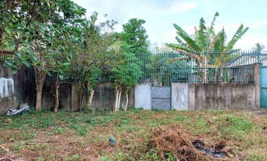 property # 11091 lot for rent in subabasbas lapu lapu city