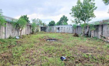 property # 11091 lot for rent in subabasbas lapu lapu city