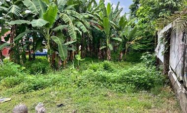 Commercial Lot for Lease at Pit-os Talamban Cebu City