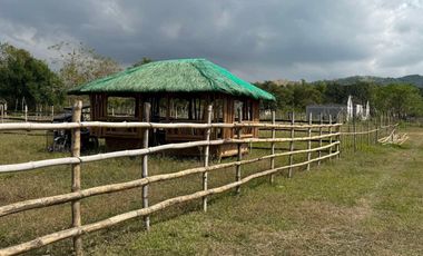 100 SQ. Meters Residential Lot Near to Beach (INstallment)