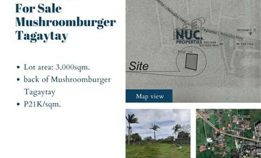 Vacant Lot for Sale along Tagaytay at the back of Mushroomburger