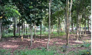 Agricultural Land for Sale at Balabag West, Valencia, Negros Oriental