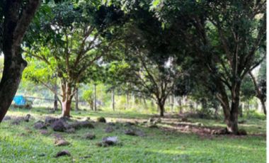 Agricultural Land for Sale at Balabag West, Valencia, Negros Oriental