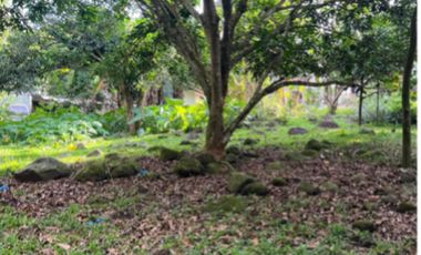 Agricultural Land for Sale at Balabag West, Valencia, Negros Oriental