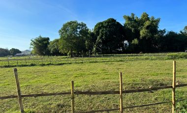 installment residential lot( 12 months to pay)