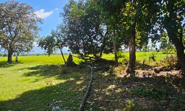 For Sal RESIDENTIAL LOT - 2 YEARS TO PAY