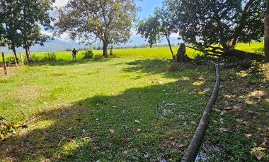 For Sal RESIDENTIAL LOT - 2 YEARS TO PAY