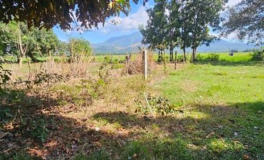 For Sal RESIDENTIAL LOT - 2 YEARS TO PAY