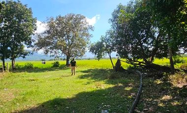 For Sal RESIDENTIAL LOT - 2 YEARS TO PAY