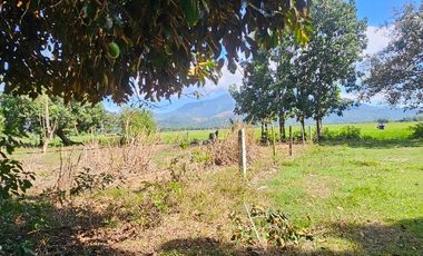 For Sal RESIDENTIAL LOT - 2 YEARS TO PAY