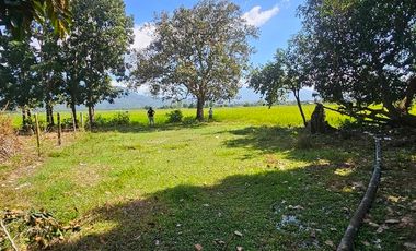 For Sal RESIDENTIAL LOT - 2 YEARS TO PAY